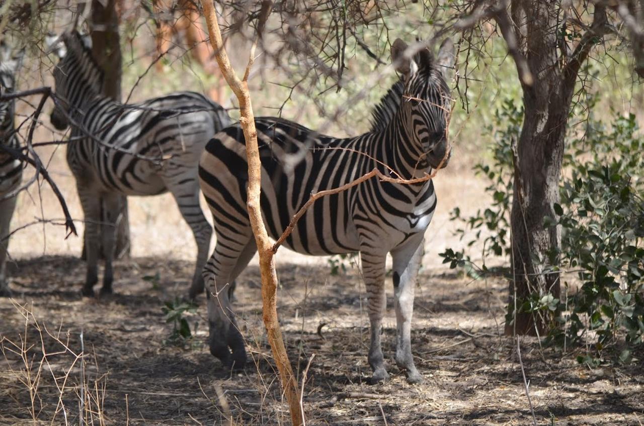 Terre D'Afrique Hotel Popenguine Kültér fotó